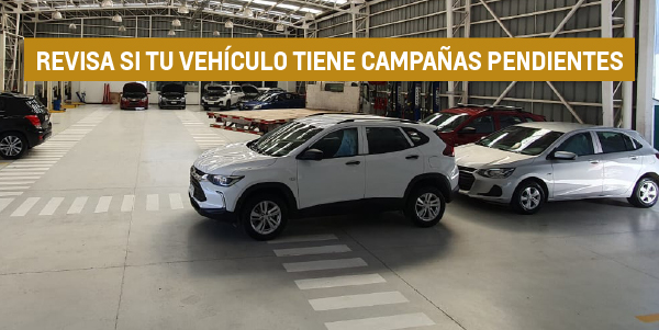 Cotiza Online
