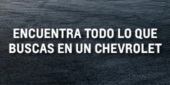CATALOGO (16)