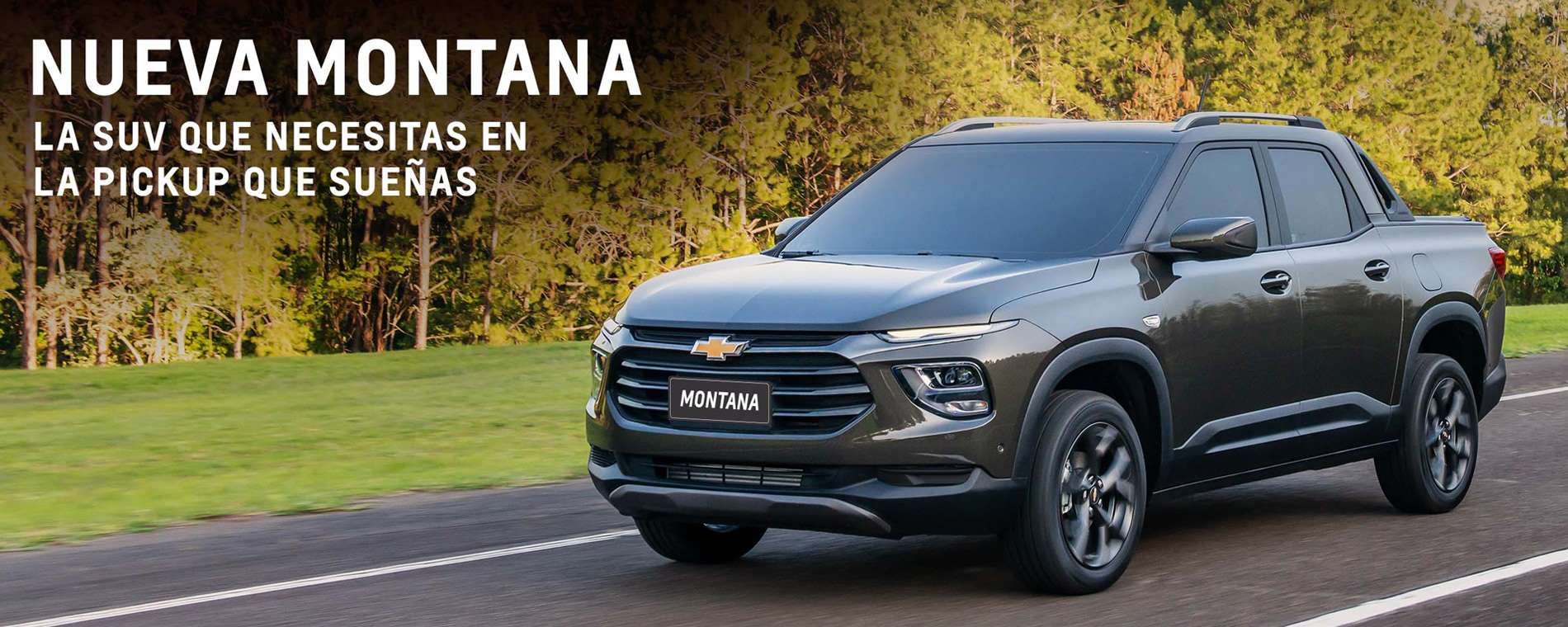 Chevrolet Divemotor - Montana